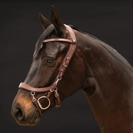 Presteq Hoofdstel Presteq Faysport Bruin