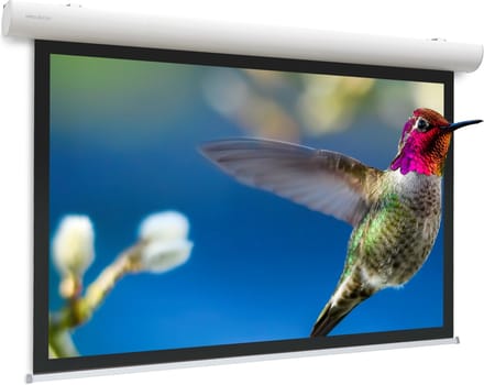Da-Lite Elpro Concept RF projectiescherm 2,64 m (104") 16:9