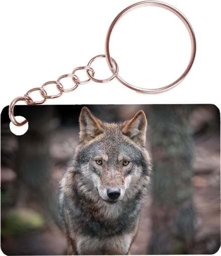Sleutelhanger 6x4cm - Wolf Bos
