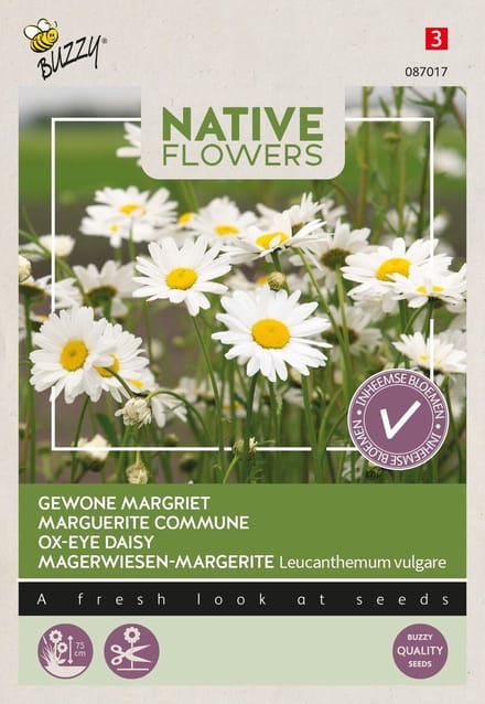Buzzy - Zaden margriet 0,1 gram