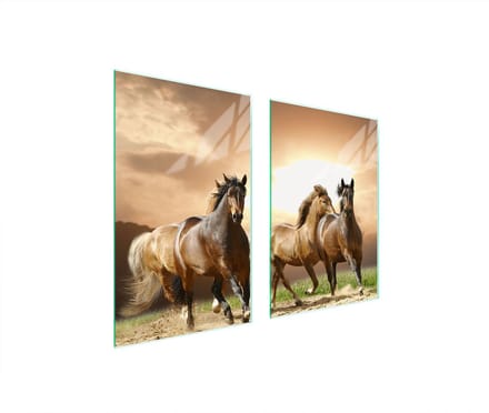 TMK ArtDeko - Series - Glazen Beschermplaat - 65x52 cm - Getemperd Glas