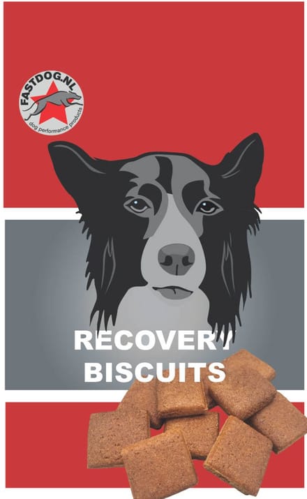 Fastdog Recovery Biscuits