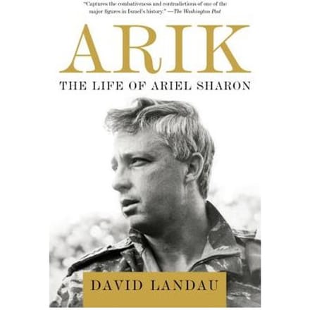 Arik - David Landau