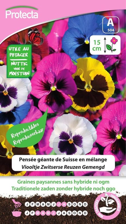 Protecta Bloemen zaden: Viooltje Zwitserse Reuzen Gemengd