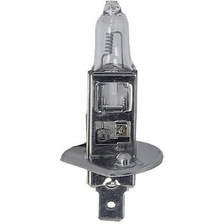 Gloeilamp PHILIPS Master Duty H1 24V, 70W, 1 Stuk