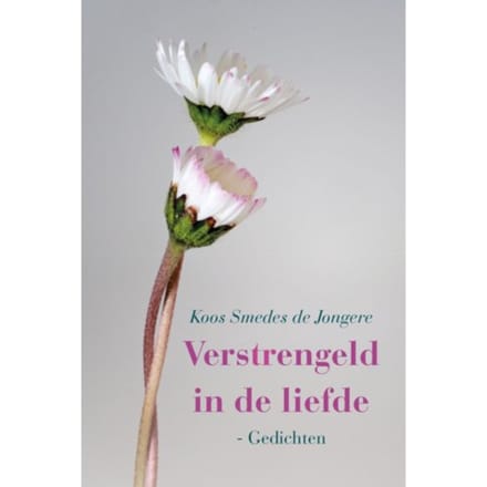 Verstrengeld In De Liefde - Koos Smedes