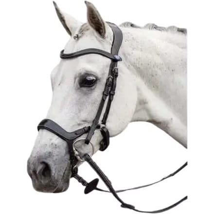 Hoofdstel PS of Sweden Pioneer