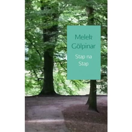 Stap Na Stap - Melek Gölpinar