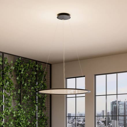 Deko-Light LED hanglamp PANEL, zwart, Ø 63 cm, metaal, CCT dimbaar 50 W