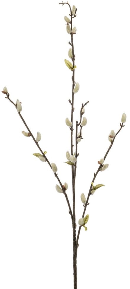 Emerald - Kunsttak Wilg 78cm créme - Kunstplant voor binnen