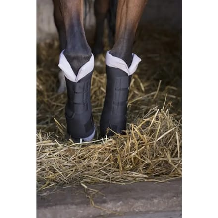 Set van 4 steunkousen voor paarden Norton