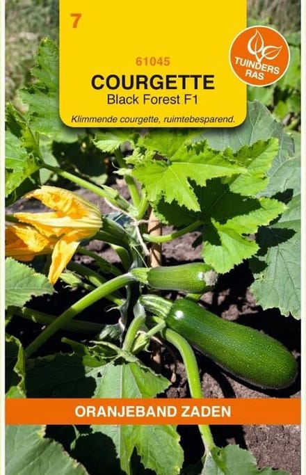 Oranjebandzaden -  Courgette Klimmend Black Forest F1