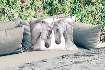 Buitenkussens - Paard - Dieren - Portret - Wit - 60x40 cm - Weerbestendig