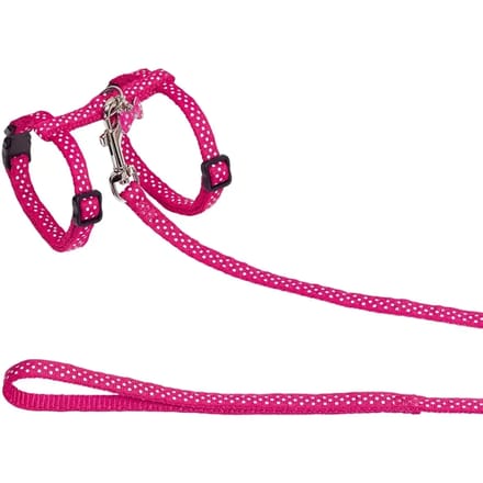 Kattenriemen en -harnassen Nobby Pet Dots