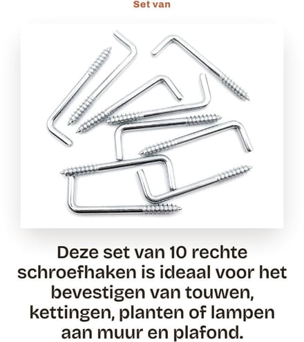 Dailygoods - Set van 10 Rechte Schroefhaken voor Wand en Plafond