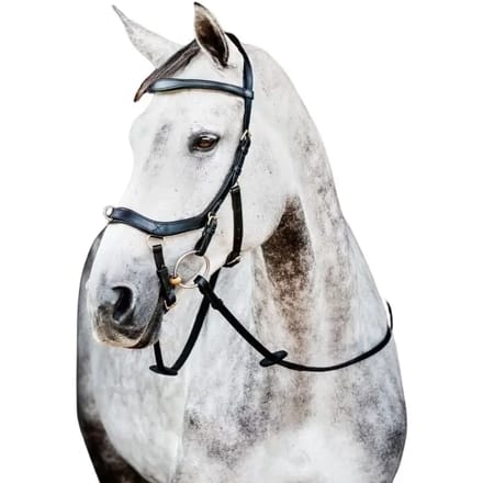 Hoofdstellen Horseware Micklem 2