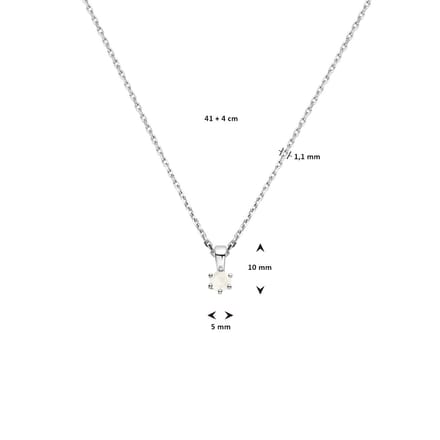 Collier Met Geboortesteen 41 + 4 Cm Zilver Gerhodineerd