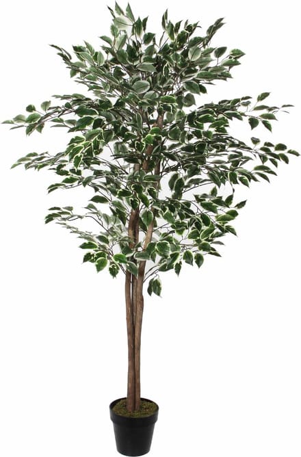 Mica Decorations Ficus Kunstplant - H165 x Ø65 cm - Groen Bont
