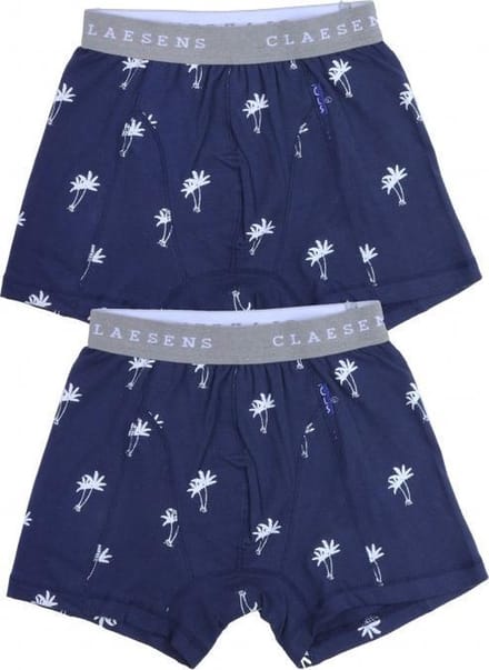 BOXER 2 PACK - PALMTREE SS20