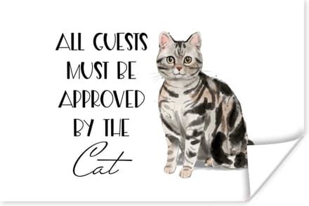 Poster Spreuken - Quotes - Kat - All guests must be approved by the cat - 60x40 cm