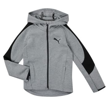 Capuchon sweaters Puma EVOSTRIPE CORE FZ HOODIE