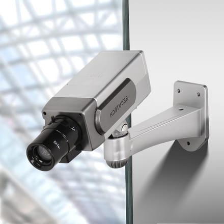 Dailygoody - Rotatable Dummy Camera - Realistische Neppcamera voor Binnen en Buiten met Flits LED
