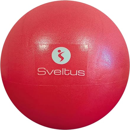 Opleidingsbal Sveltus