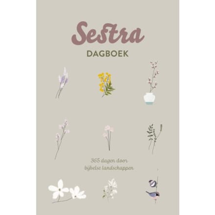 Sestra Dagboek - Corinne Starreveld