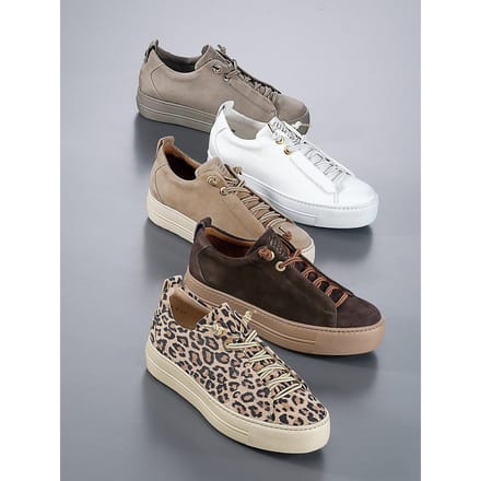 Sneakers kalfsnappaleer Van Paul Green bruin
