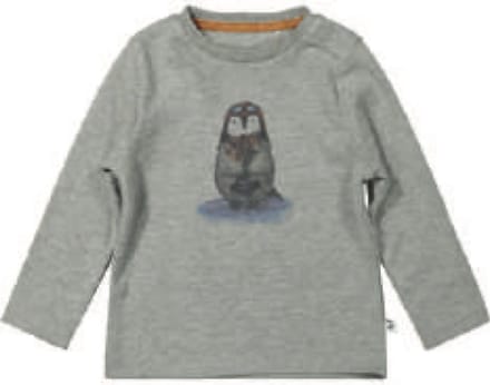 Ducky Beau longsleeve maat 68 grey melange