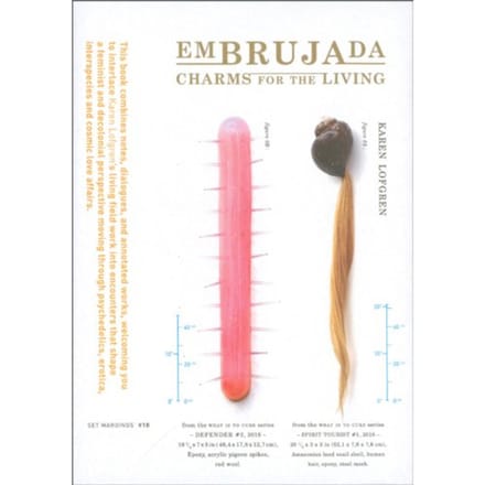 Embrujada - Karen Lofgren