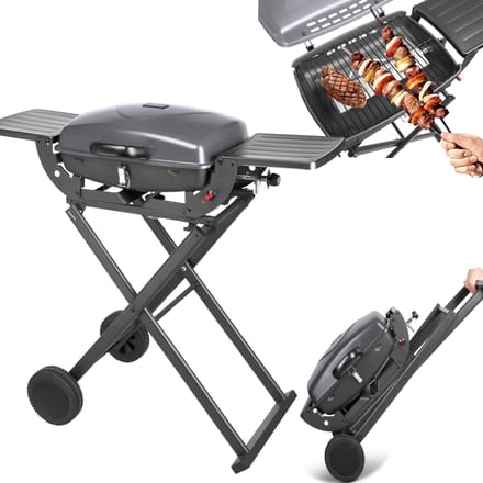 Teesa TSA0150 - Draagbare gasbarbecue BBQ 1000 met onderstel