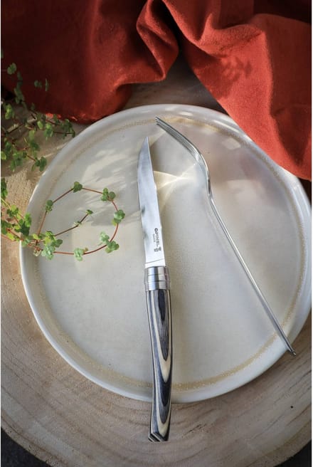 Opinel Table Chic tafelmessenset - 4-delig - berkenhout - glad lemmet