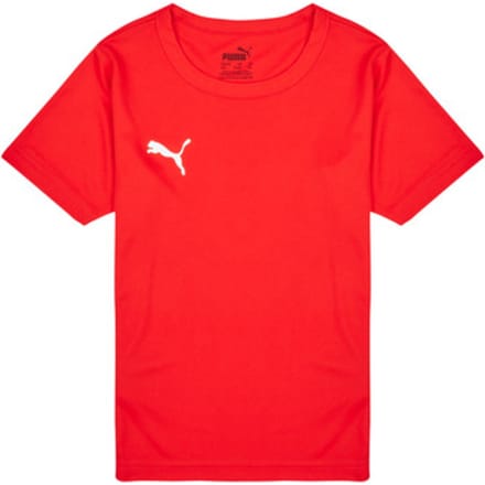 Puma  T-shirt Korte Mouw TEAMRISE MATCH DAY