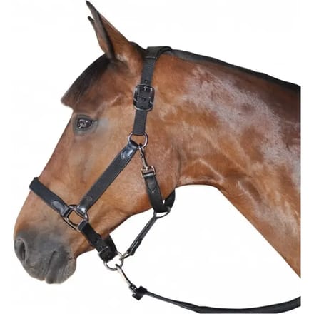 Halster voor paarden nylon/leer Flags&Cup