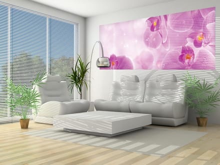 Flowers Orchids Photo Wallcovering
