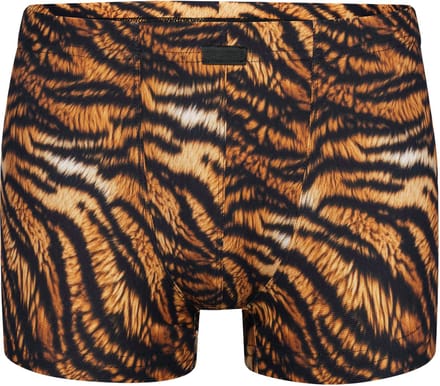 Manstore Boxer M2577 Micro Pants