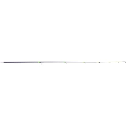 Scion buscle Ragot D3.0