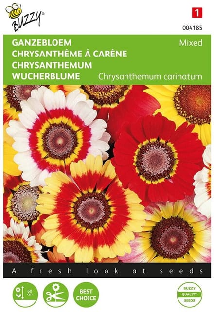Bonte Ganzebloem Mix - Chrysanthemum carinatum