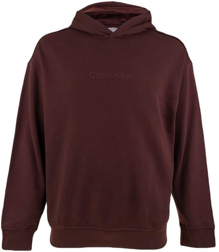 Calvin Klein 000nm2683e Hoodie Bruin L Man