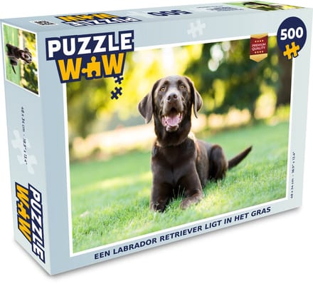 Puzzel Een Labrador Retriever ligt in het gras - Legpuzzel - Puzzel 500 stukjes