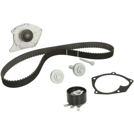 Schaeffler Ina Waterpomp+distributieriem set INA 530 0197 30