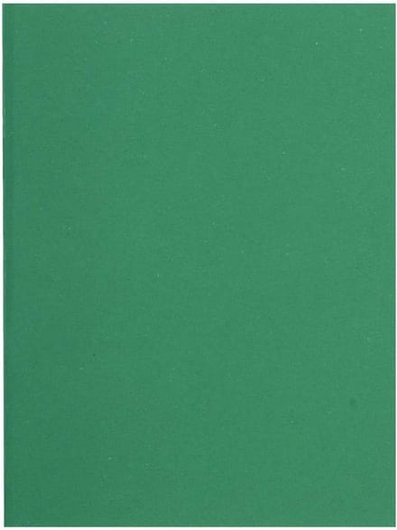 Groene collectiemap 24x32cm, gerecycled karton, 300 vellen - Exacompta