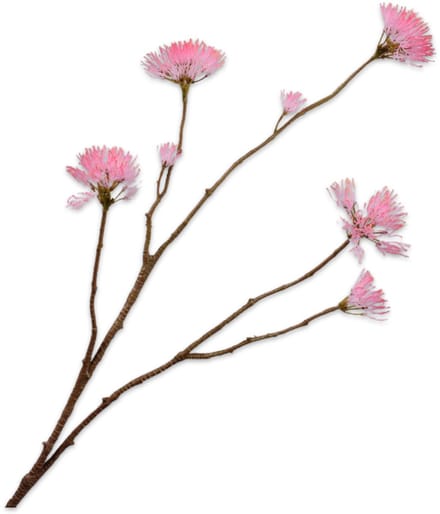 Silk-ka Kunstbloem-Zijde Bloem Bloesem Tak Roze 69 cm