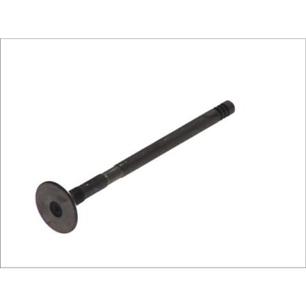 Uitlaatklep FRECCIA R6465/RNT