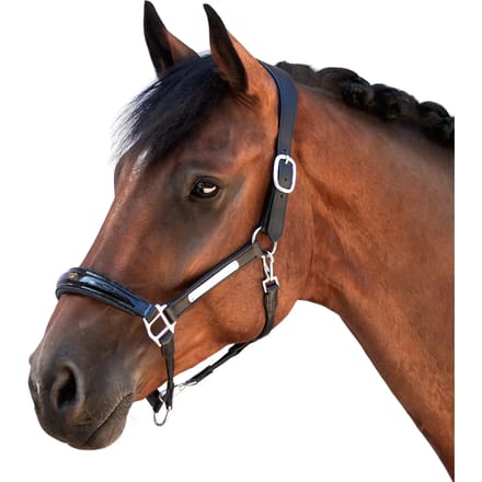 Leren halster voor paard Bridlery Eternity