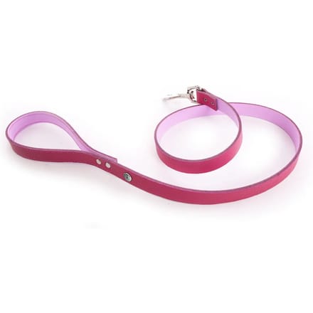 Hondenriem Martin Sellier Allure T100