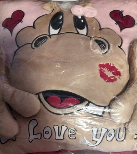Kussen - I Love You - Koe