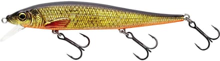 Westin Fishing Jerkbite SR floating Real Rudd (13.5cm)