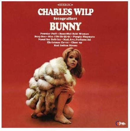 Charles Wilp Fotografiert Bunny